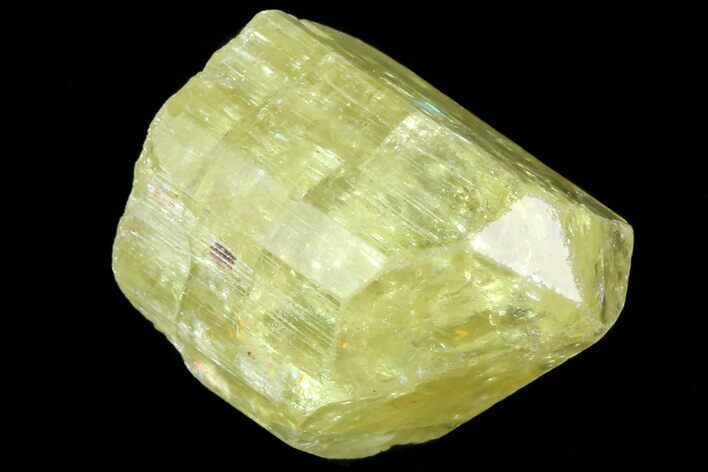Lustrous Yellow Apatite Crystal - Morocco #82552